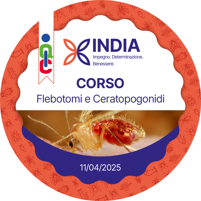 Badge pubblico 80481